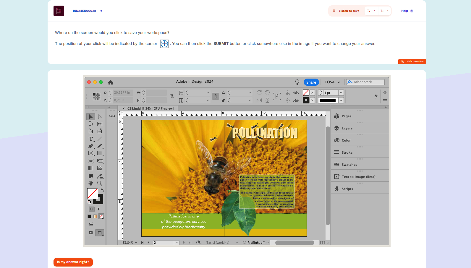 Adobe InDesign exam preview