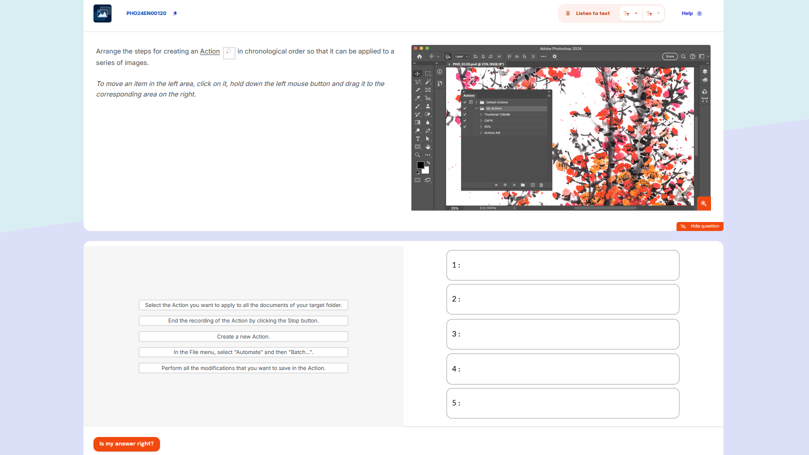Adobe Photoshop exam preview